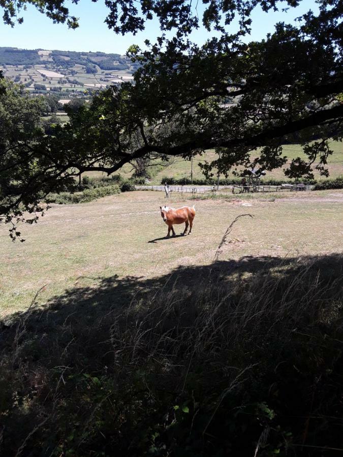 Village.Insolite Montagny-sur-Grosne Εξωτερικό φωτογραφία