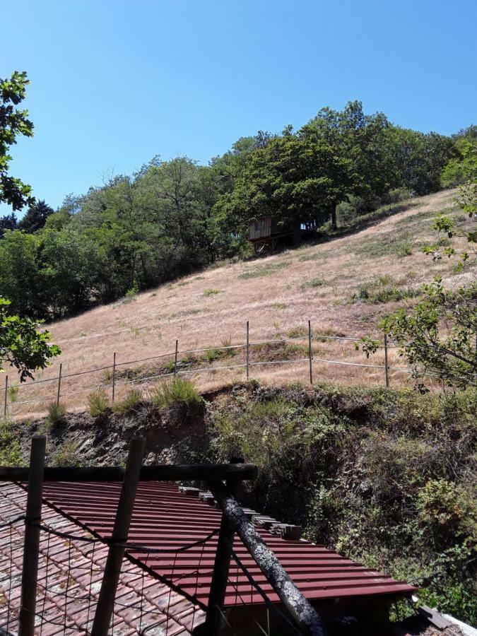 Village.Insolite Montagny-sur-Grosne Εξωτερικό φωτογραφία